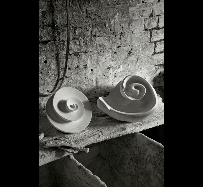 Plaster sculptures - spiral and shell